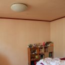 세이백화점 앞 이미지