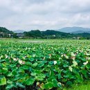 (주)네츄럴메이드 이미지