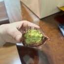 지에스25 디디엠씨점 | 두바이 쫀득 초코볼 후기 : GS25