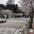 농산물품질관리원 앞 이미지