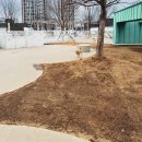 파크하우스 | 다산 현대아울렛 펫파크 흰디하우스 후기｜옥상 반려견 놀이터 솔직 정리