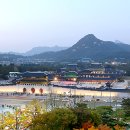 멋찌네