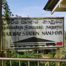 엘라(ELLA) 이미지