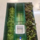 김해시진영읍보건지소 | 김해 진영 갈비회관