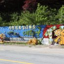 대티골계곡 이미지