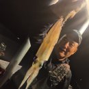7월4일,통영서진호 ＞＞ 왕~한치~쿨러조황입니다, 토욜(한치출조) *** **** **** 문의 이미지