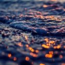 쌍도하우스 이미지