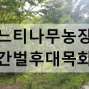 느티나무2농장 이미지