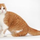 삼양동물병원 이미지