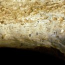 문화유산, 역사가 보인다 이미지