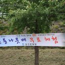정선취떡 이미지