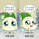포토덤프... 그게뭔데 📷💫