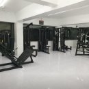 비디피트 이미지