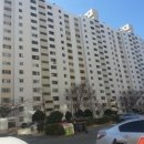 하단동1101 이미지