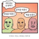 초급필수 영단어 암기 | 새해 영어공부를 도와줄 케이크 올라운드팩 구성소개 및 사용후기