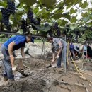 교육지원청 이미지