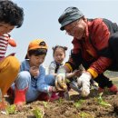 중랑천 제2체육공원 이미지