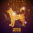 황금애견 이미지