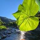 세인펜션 이미지