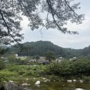 장천마을캠핑장 이미지