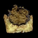 촌칭구짬뽕 상인점 | 엥겐녀의 왓츠인마이배