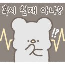 댕냥테라피 이미지