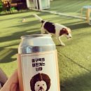 라운지독 네이버블로그