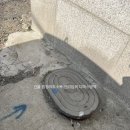 디에스방역