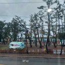 감포 더 고아라 비치 펜션 이미지