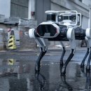 지에스개발 이미지