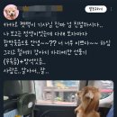 카카오 펫 택시에서 차별받음 이미지