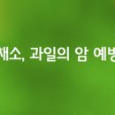 채소;과일