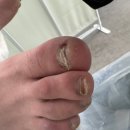 레푸스앤두두뷰티 이미지