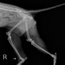 이형윤동물병원 이미지