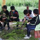 성안중학교 이미지