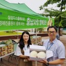 충남사 이미지