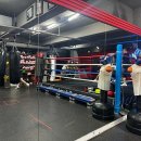 강남스타복싱 이미지