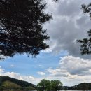 [충북_의림] 제천 1박 2일 여행코스 추천 아이와 부모님 모두 만족한 제천 의림지
