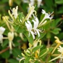 (주)인동 이미지