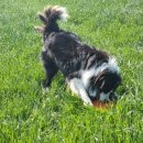 약산농장 이미지