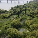 숲내음공원 이미지