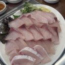 목동어시장 | 오목교 방어 맛집 속초오징어어시장 목동점 내돈내산 솔직 후기