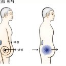 한의사가 말하는 건강법? 이미지