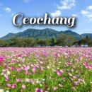 가조온천입구 | 경남 거창 여행 가조온천꽃단지 꽃구경 나들이 코스모스 축제 단지