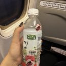 서경백화점 앞 사거리 횡단보도 | 3달 지난 다낭 여행 지유를 위해 싹~정리해 줄게~?