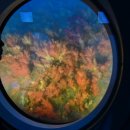 대국해저관광(주) 서귀포잠수함 | 자녀들과 함께하는 제주도 여행 필수코스 - "제주 이색체험 서귀포 잠수함" - 범창B.I.D