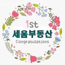 세움공인중개사사무소 이미지