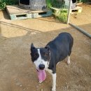 수원-0431 이미지