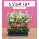 힐링플라워 | 경운대학교 평생교육원 힐링플라워 스타일링 강좌 후기 🌸