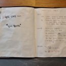 타베니스테이 이미지